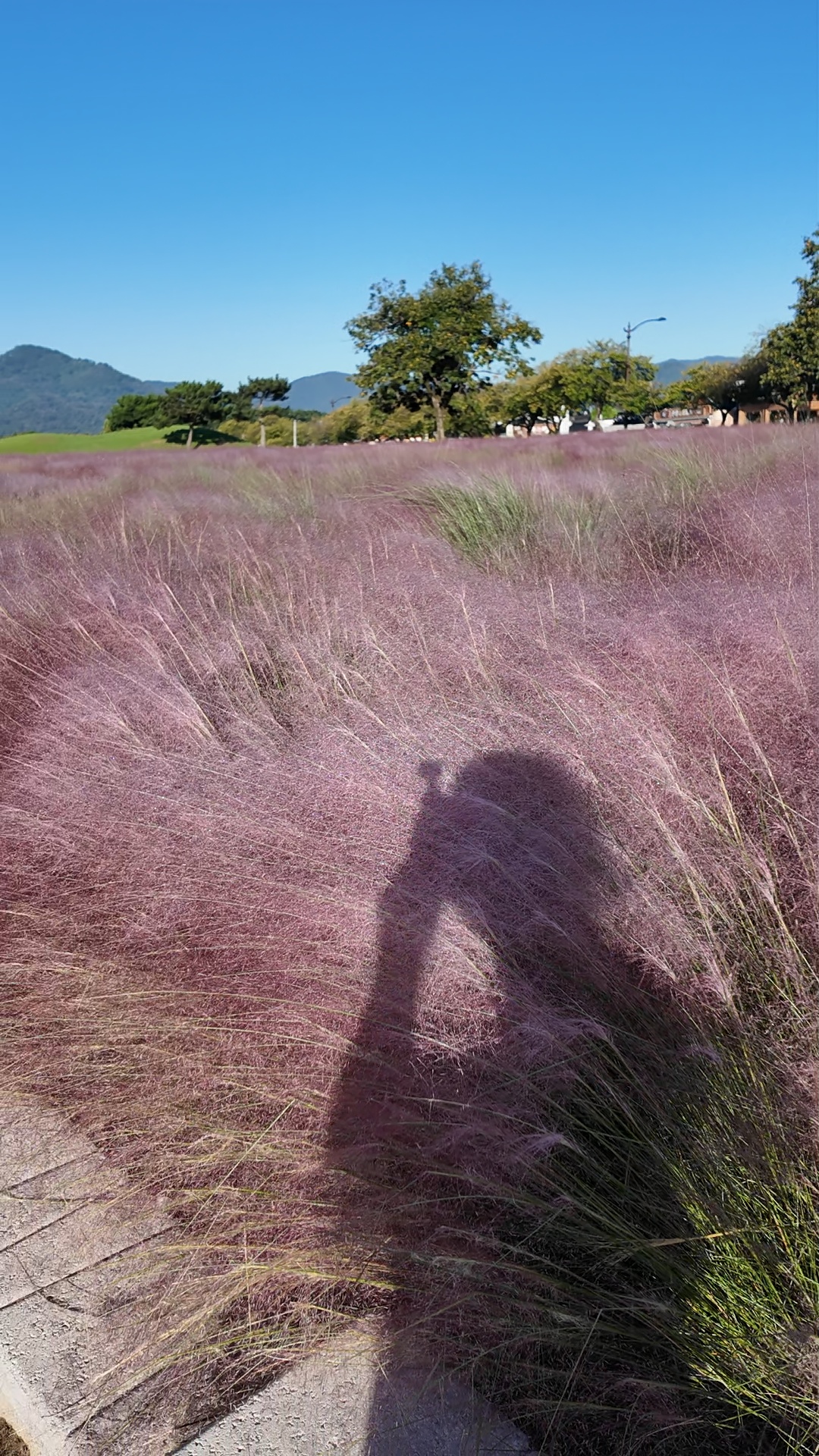 서바이벌 in 경주