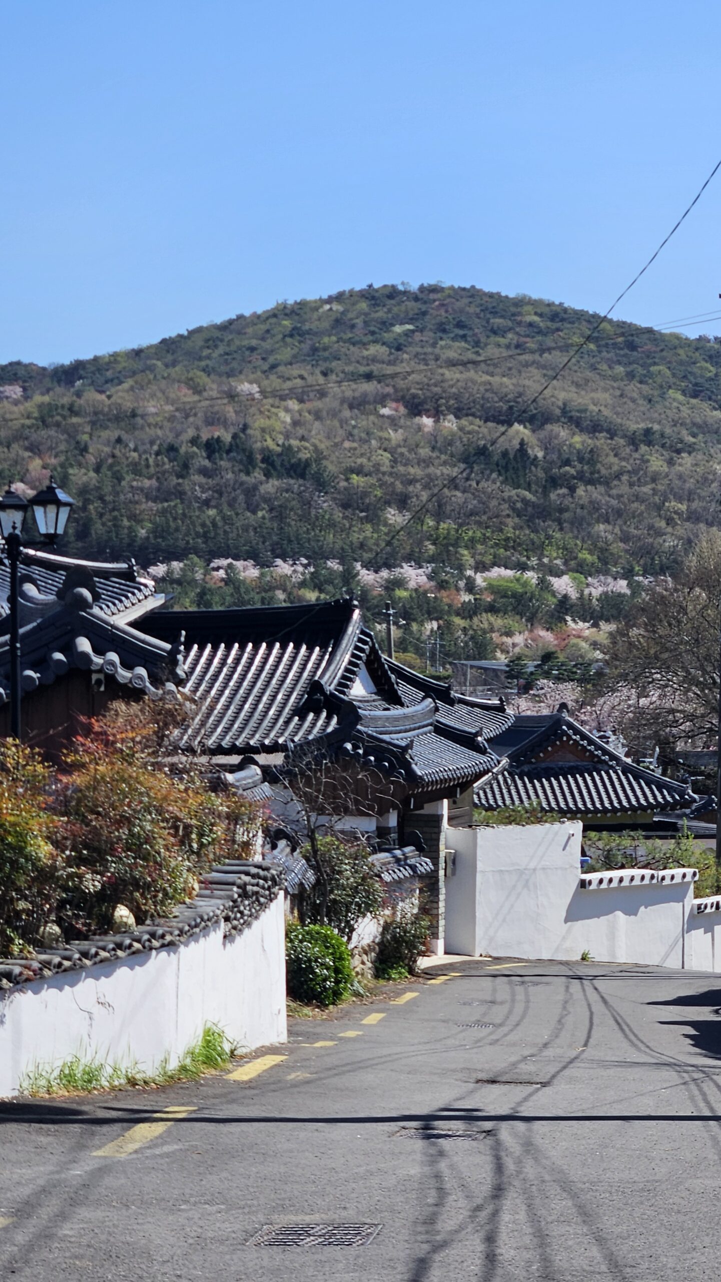 경주 북군동 한옥마을