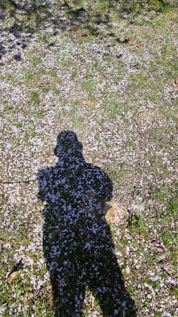 봄 날 산책을 좋아하는 엘리